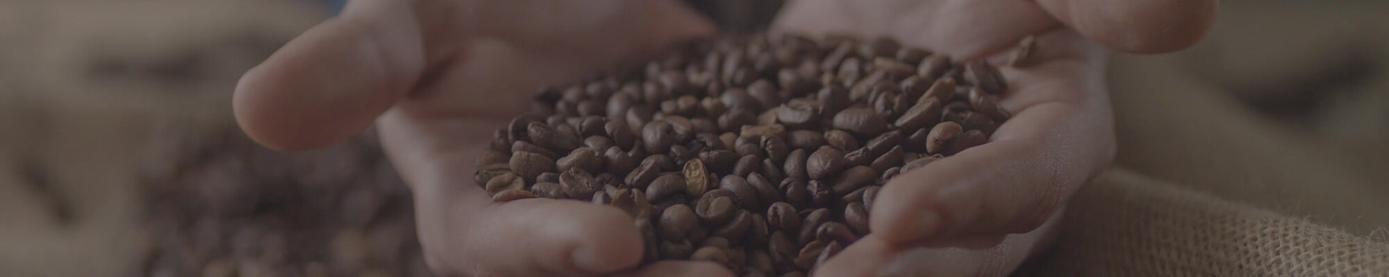 Hands holding coffee beans